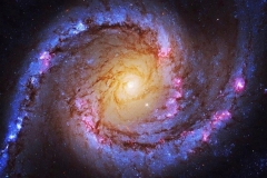 ngc-1566